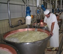 Caldaia di cottura per produzione “Parmiggiano Reggiano”